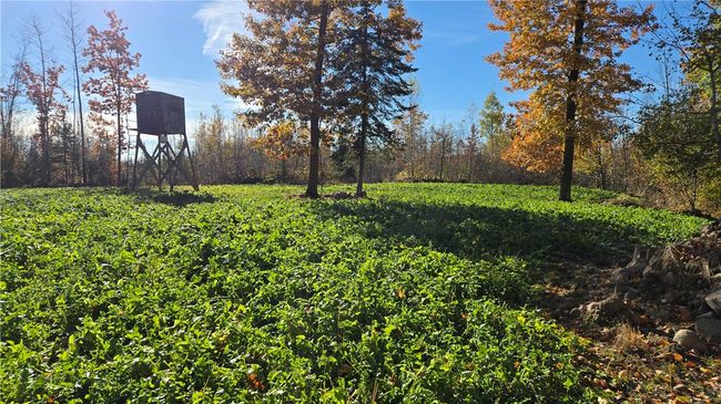 2984 N Weirgor Rd, House other with 4 bedrooms, 1 bathrooms and null parking in EXELAND WI | Image 34