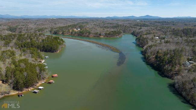 442 Shore Dr, House other with 4 bedrooms, 3 bathrooms and null parking in Dahlonega GA | Image 89
