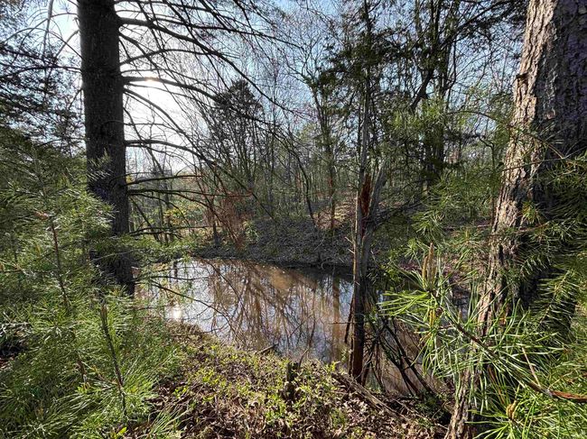 10321 W 750 N, Home with 0 bedrooms, 0 bathrooms and null parking in Jasonville IN | Image 14