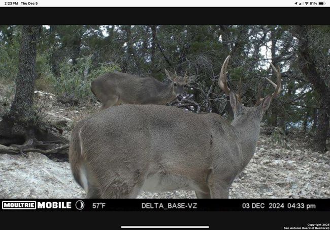 424 Sierra Vis, Home with 1 bedrooms, 0 bathrooms and null parking in Tarpley TX | Image 8