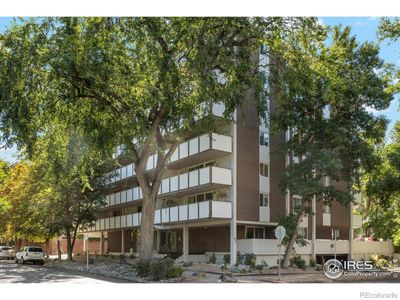 203 - 1090 N Lafayette Street, Condo with 2 bedrooms, 1 bathrooms and 1 parking in Denver CO | Image 3