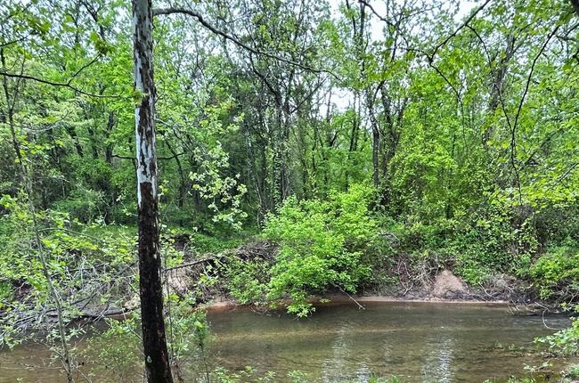 2132 Easy K Rd, Home with 0 bedrooms, 0 bathrooms and null parking in Sage AR | Image 4