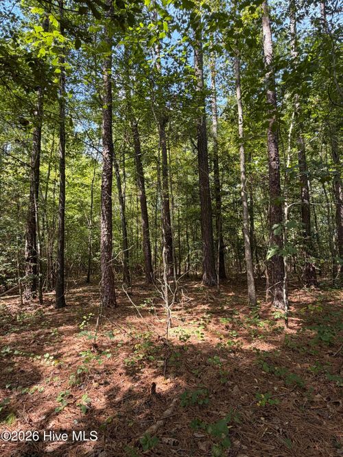 1d Gelding Gap Ln, Carthage, NC, 28327 | Card Image