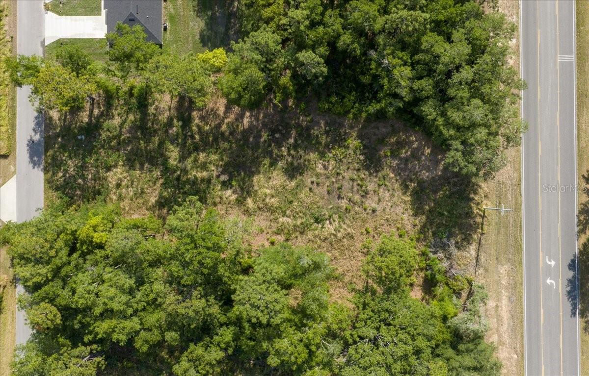 Land in OCALA 5