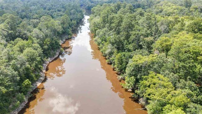 000 Highway 96 Byp, Home with 0 bedrooms, 0 bathrooms and null parking in Silsbee TX | Image 6