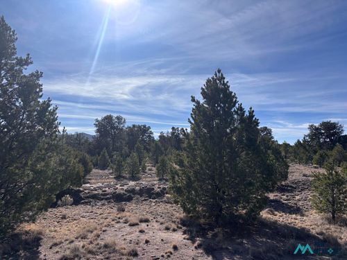 17-17 Morningstar Cir, Datil, NM, 87821-2108 | Card Image