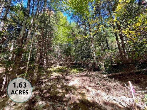 00 Marshall Newland Rd, East Burke, VT, 05832 | Card Image