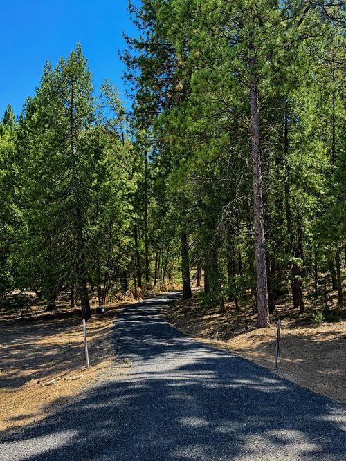 4701 Vogelsang Ln, Placerville, CA, 95667-8101 | Card Image