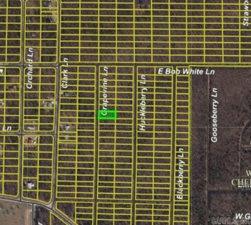 1206 Grapevine Ln, Horseshoe Bend, AR, 72512 | Card Image