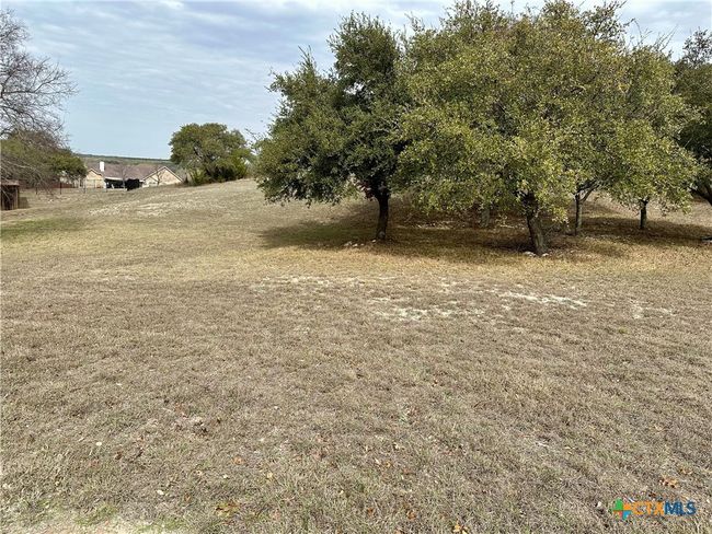 24 Andy's Pt Point, Home with 0 bedrooms, 0 bathrooms and null parking in Burnet TX | Image 9