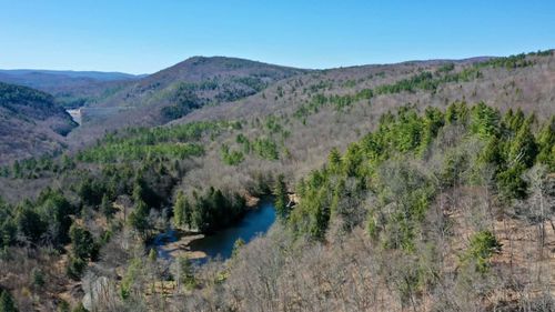 00 Turkey Mountain Rd, Jamaica, VT, 05343 | Card Image