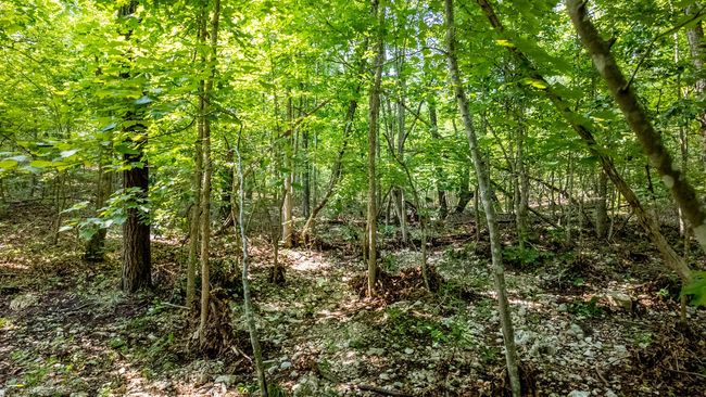 Cabin on 13 acres022 | Image 16