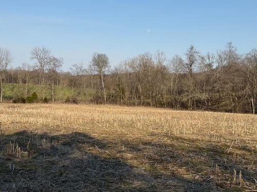 0 Stringtown Rd, Elkton, KY, 42220 | Card Image