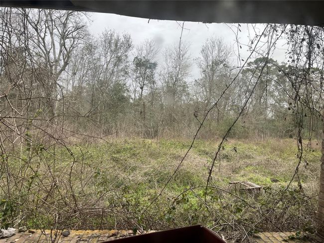 This is looking out toward the 'back yard' and the creek. | Image 26
