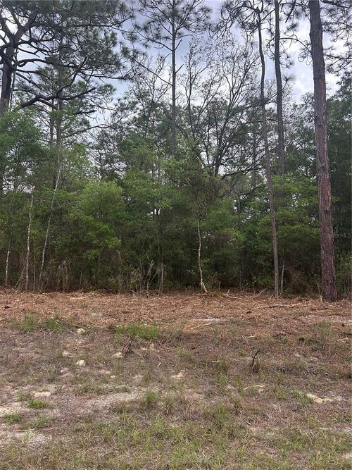 10831 N Mataro Avenue, CITRUS SPRINGS, FL, 34434 | Card Image