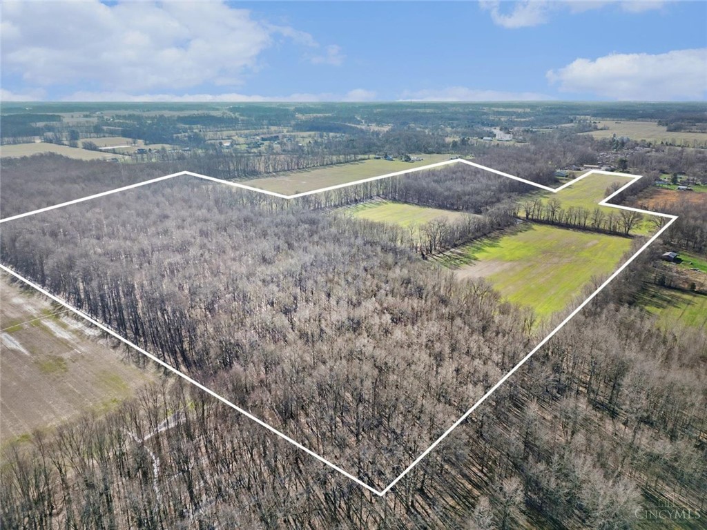 Land in Hamersville 3