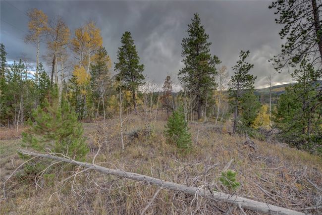 View of nature featuring a view of trees | Image 13