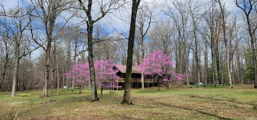 685 Highway 254 W, Leslie, AR, 72645-8849 | Card Image