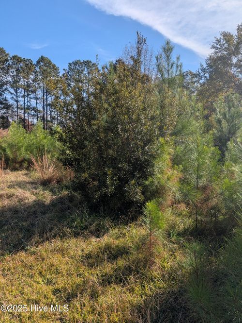 749 Highway 172, Hubert, NC, 28539-3564 | Card Image