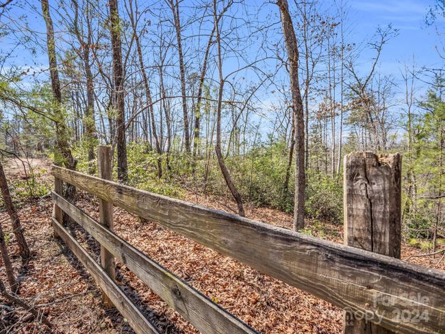 21-24-AND-25 - 000 Forester Ln, Home with 0 bedrooms, 0 bathrooms and null parking in Mill Spring NC | Image 4