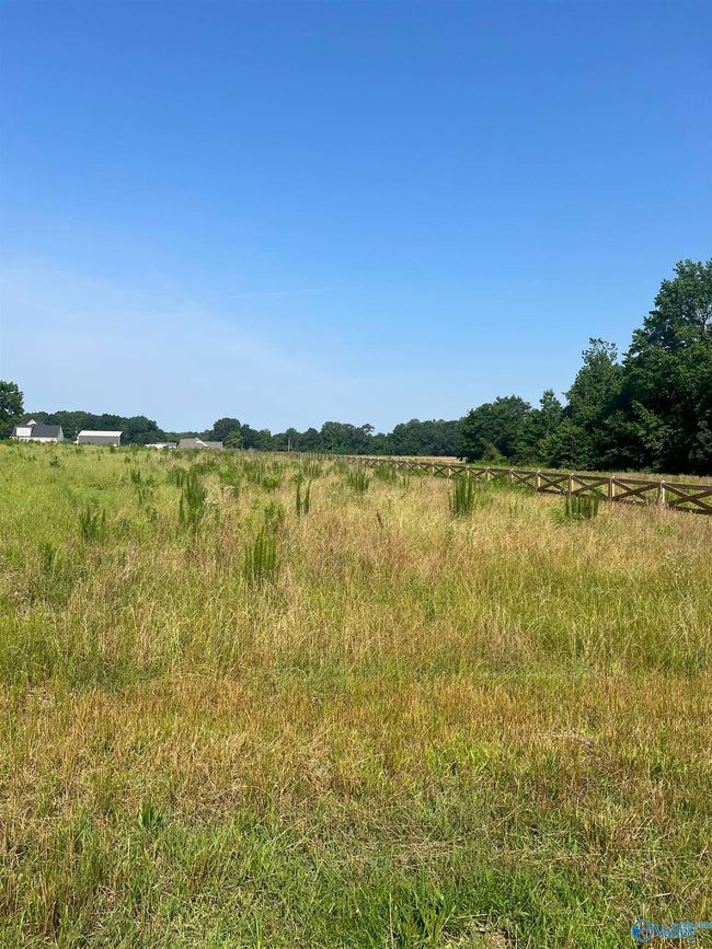 6 Shady Ln, Home with 0 bedrooms, 0 bathrooms and null parking in Hazel Green AL | Image 4