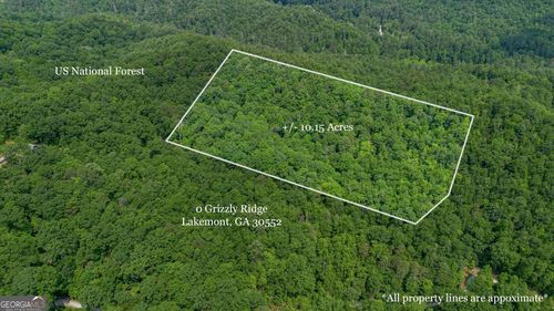 0 Grizzly Ridge Rd, Lakemont, GA, 30552 | Card Image