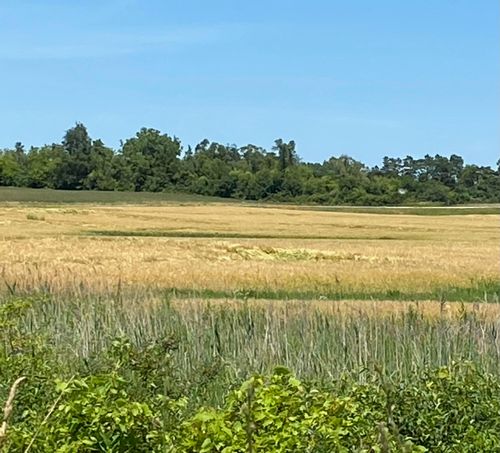 Lt0 Ne Frontage Rd, STURTEVANT, WI, 53177 | Card Image