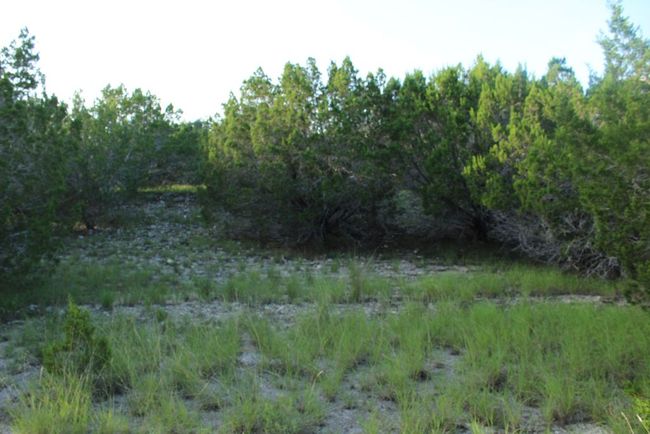 Level yard of Lot | Image 28