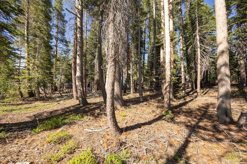 6636 Yuba Dr, Soda Springs, CA, 95728 | Card Image