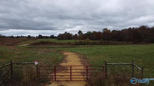 13.9 Acres County Road 429, Fyffe, AL, 35971 | Card Image