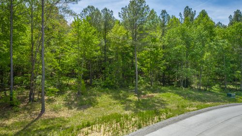 0 Birds Eye Way, Guild, TN, 37340 | Card Image