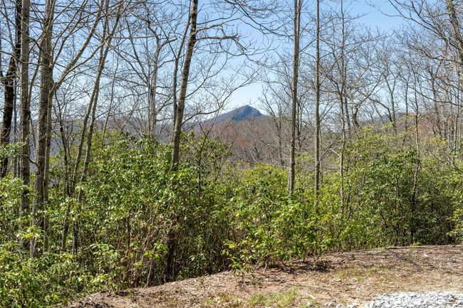3 Big Granite Trl, Home with 0 bedrooms, 0 bathrooms and null parking in Sapphire NC | Image 10