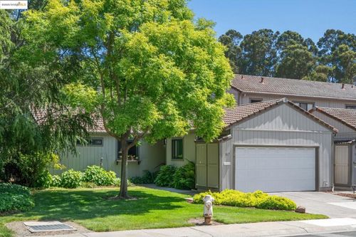167 Wadi Run, Hercules, CA, 94547-1423 | Card Image