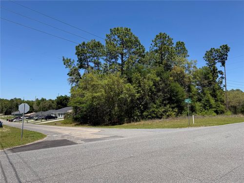 8975 N Travis Dr, CITRUS SPRINGS, FL, 34434-5096 | Card Image