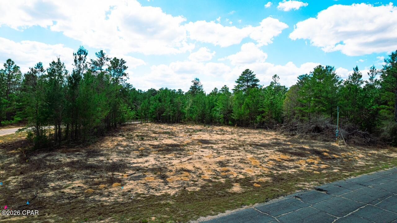 Land in Chipley 5