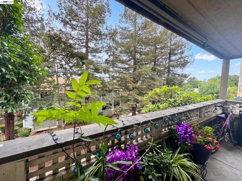 204-29599 Vanderbilt St, Hayward, CA, 94544-6755 | Card Image