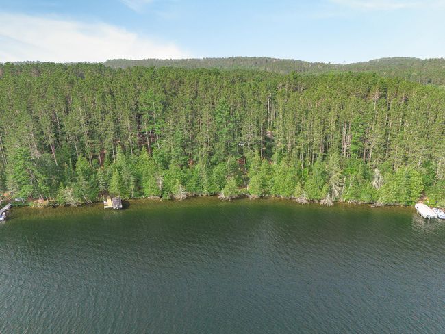 Towering pines, nice hard sand at lake | Image 29