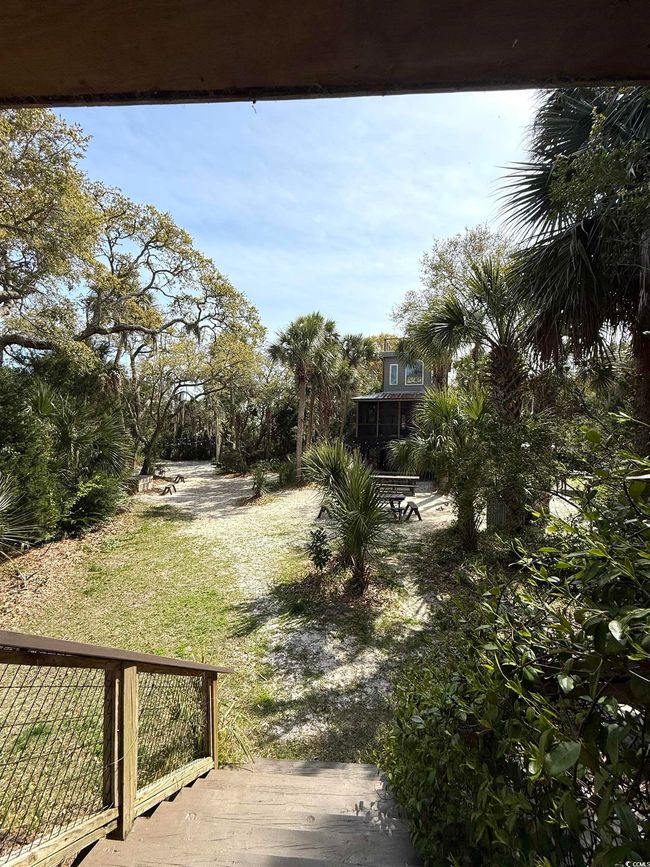 View of yard | Image 37