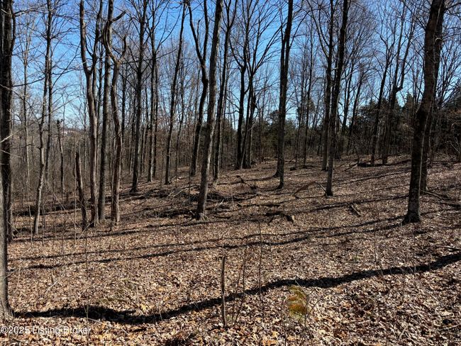 2701 Hardesty Raymond Rd, Home with 0 bedrooms, 0 bathrooms and null parking in Webster KY | Image 31