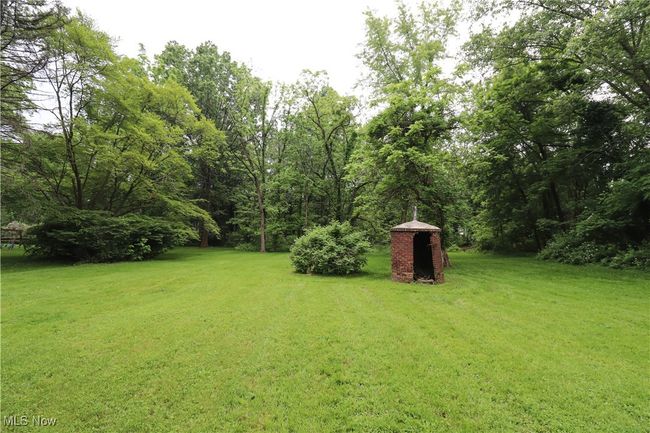 back yard | Image 18