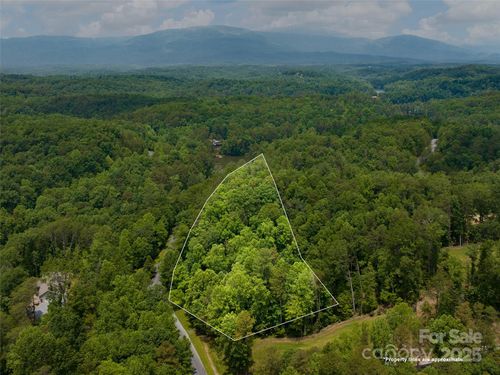 Lot 4A S Cove Rd, Mill Spring, NC, 28756 | Card Image
