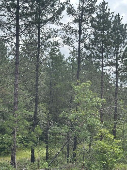 lot-7-rns-NEAR Cth Y S, Tomahawk, WI, 54487 | Card Image