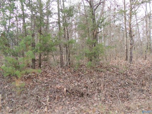 74.5 ACRES Northwest Rd, Moulton, AL, 35650 | Card Image