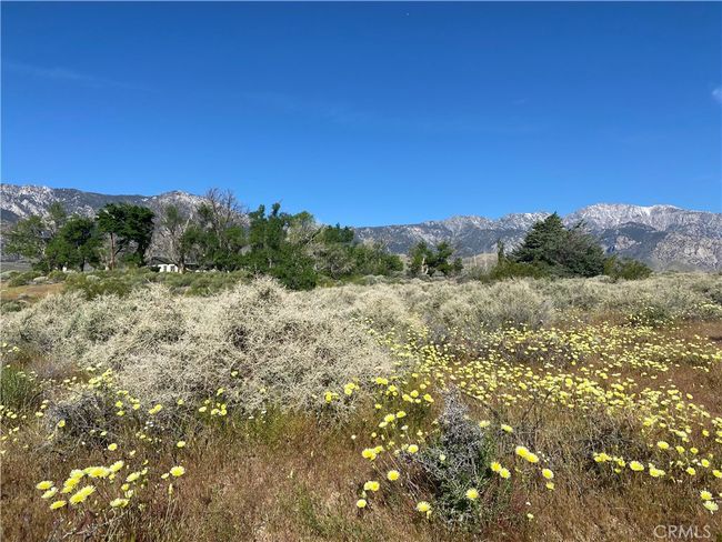 330 Sage Flats Dr, House other with 3 bedrooms, 2 bathrooms and 2 parking in Olancha CA | Image 50