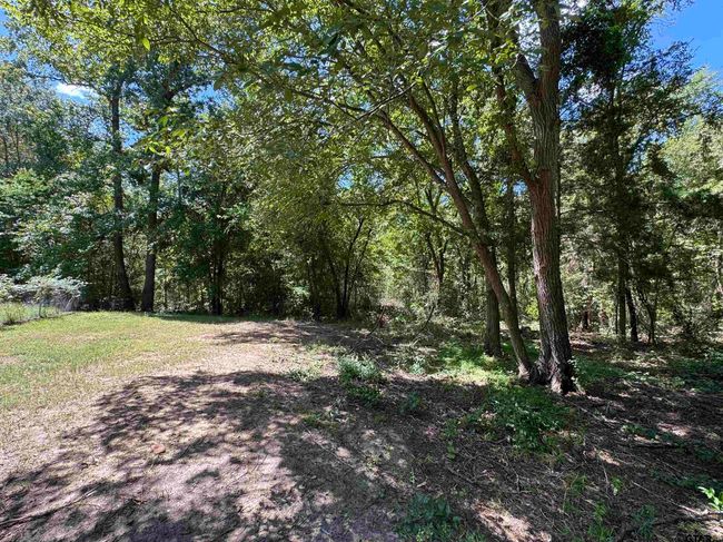 4159 Scrub Pine Rd, House other with 3 bedrooms, 2 bathrooms and null parking in Big Sandy TX | Image 11