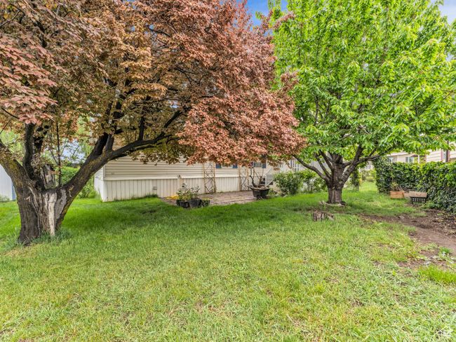 View of grassy yard | Image 27