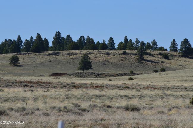 2 E Tanner Ranch Rd, Home with 0 bedrooms, 0 bathrooms and null parking in Parks AZ | Image 26