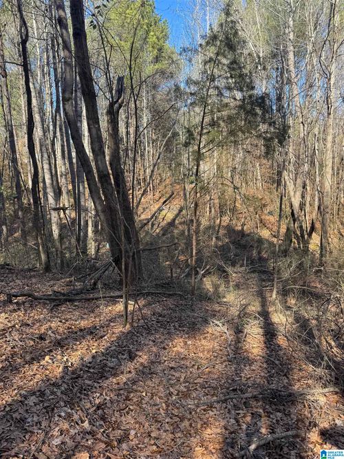 0-20143 Booler Rd, Vance, AL, 35490-1939 | Card Image