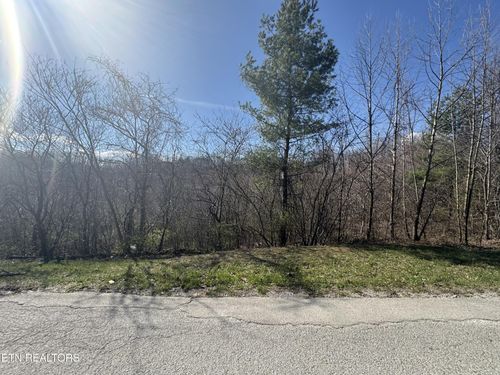 0 Grape Rough Rd, Oneida, TN, 37841 | Card Image