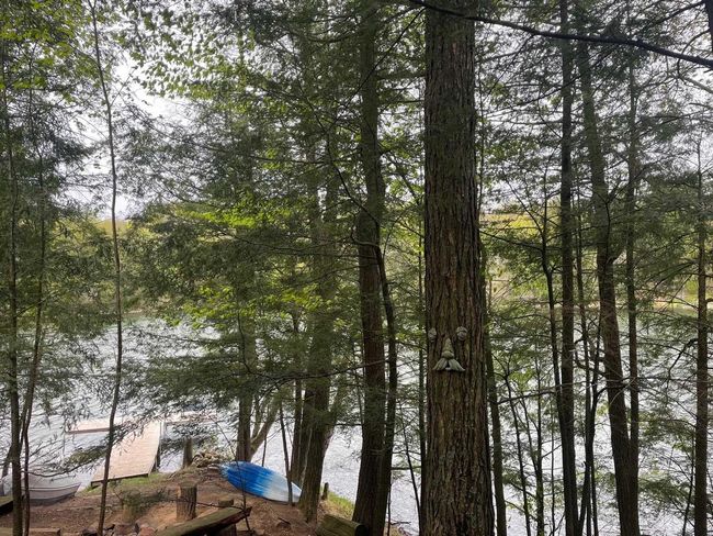 17235 Little Archibald Road, House other with 3 bedrooms, 2 bathrooms and null parking in TOWNSEND WI | Image 54